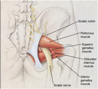 richmond hip treatment pain relief piriformis